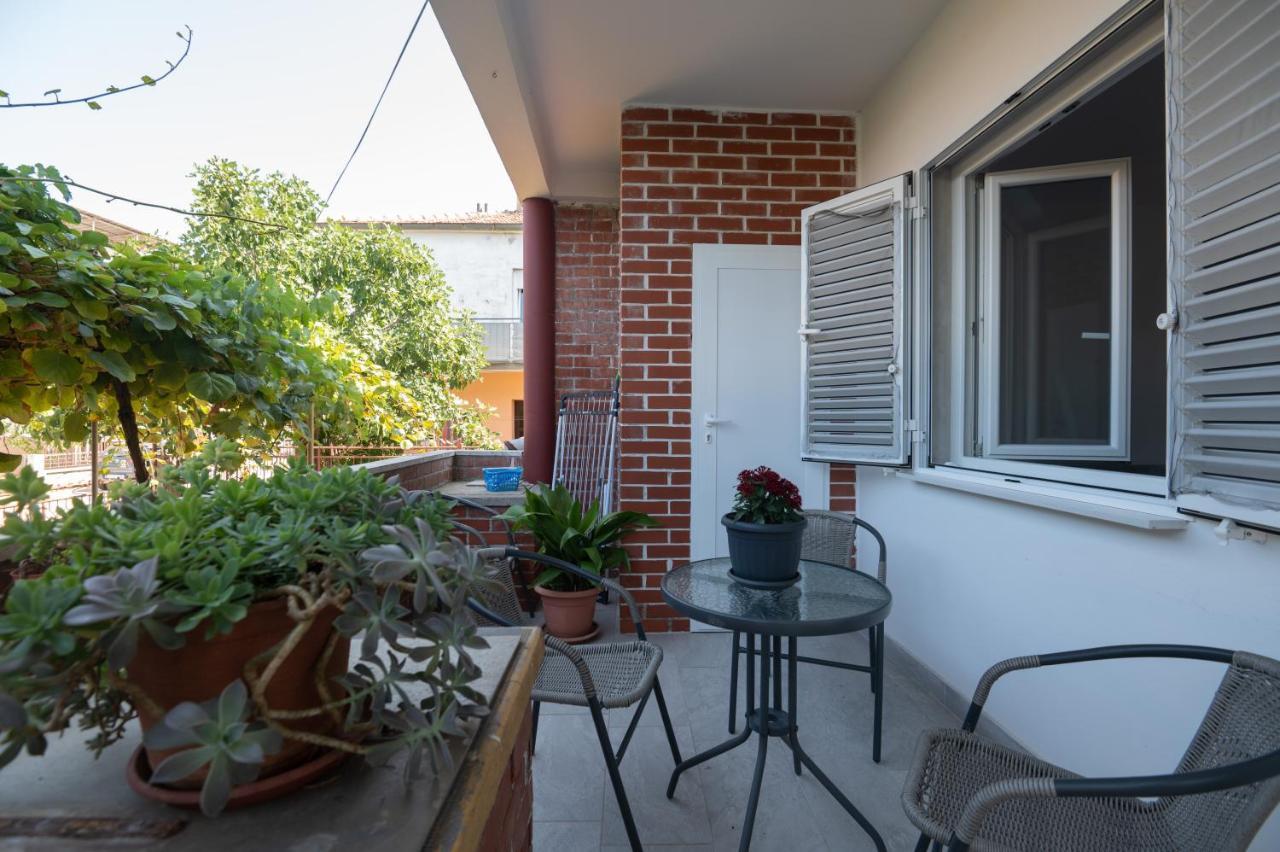 Modern Apartment Edda - Quiet Area - Close To Old Town And Beaches 扎达尔 外观 照片
